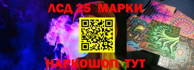 Альфа ПВП Кандалакша