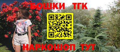 Альфа ПВП Кандалакша